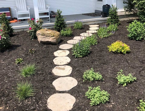 Plantings and Hardscapes